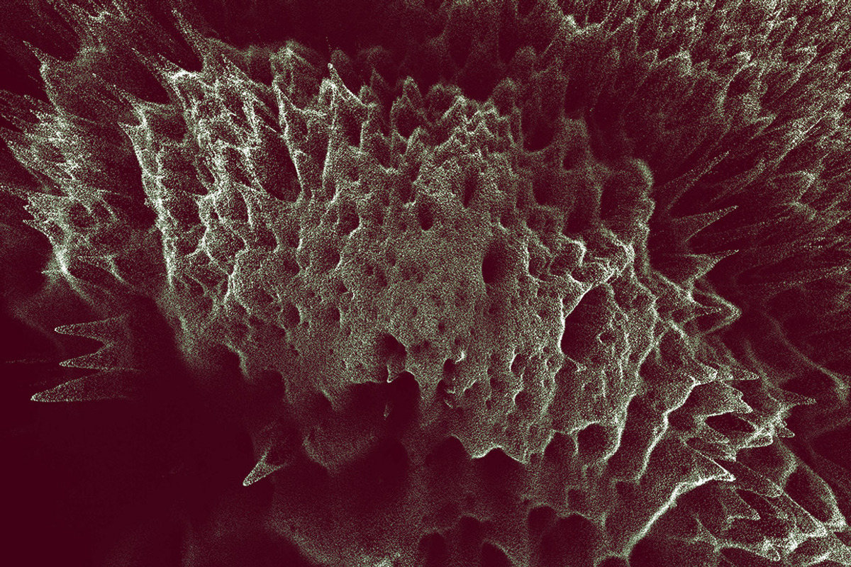 Data Distortion preview 2