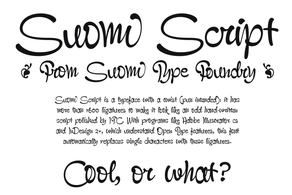 Suomi Script preview 4