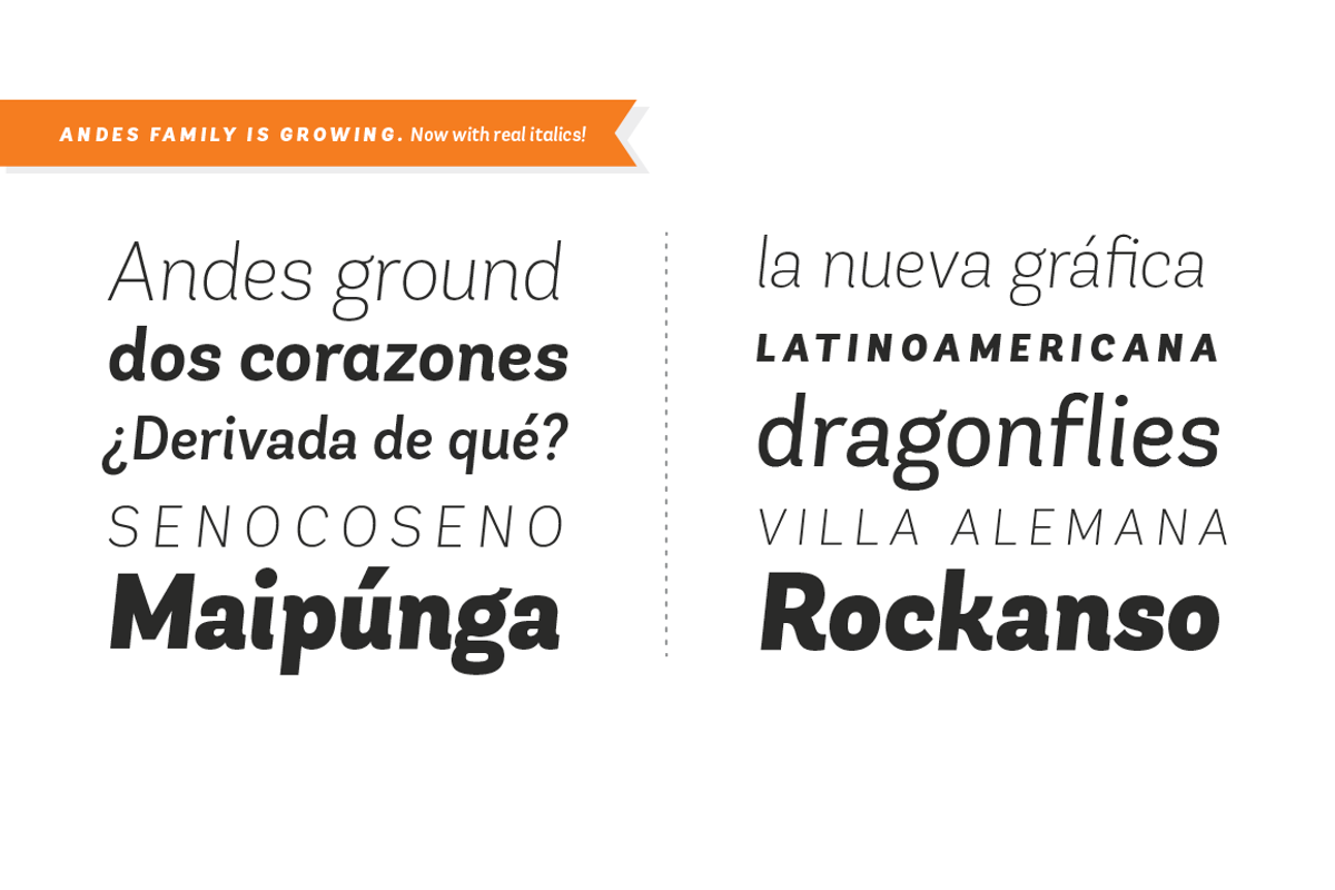 Andes Italic Family preview 2