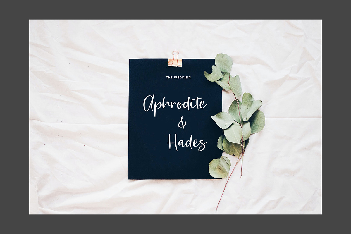 Rossitta Modern Script Font, a Script Font by Giant Design (Photo 6 of 10)
