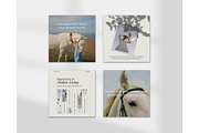 Holistic Coach Template - Canva, a Social Media Template by TheTemplateTopia (Thumbnail 6 of 10)