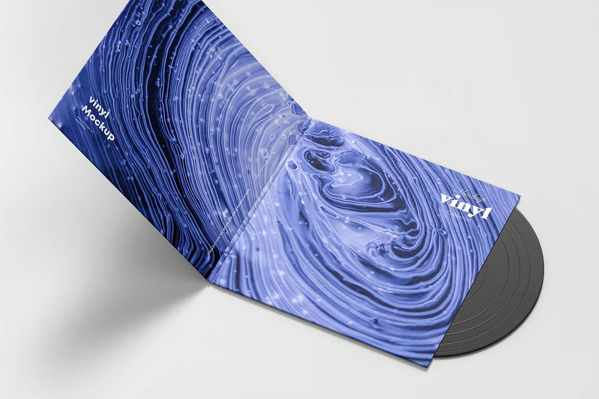 Vinyl Mock-up, a Product Mockup by zippypixelstudio (Photo 4 of 8)