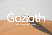 Goziath Modern Sans Serif Font, a Sans Serif Font by Catalystco Studio (Thumbnail 1 of 11)