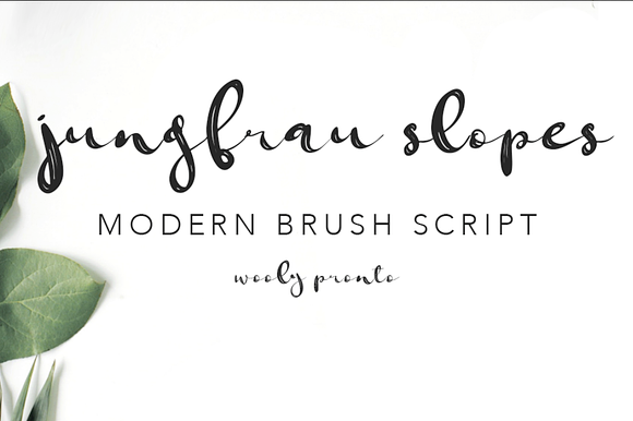 Jungfrau Slopes Modern Brush Font preview 7