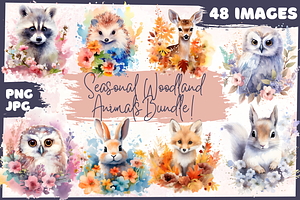 Seasons Woodland Animals Bundle