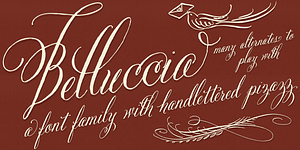 Belluccia, a Script Font by Correspondence Ink