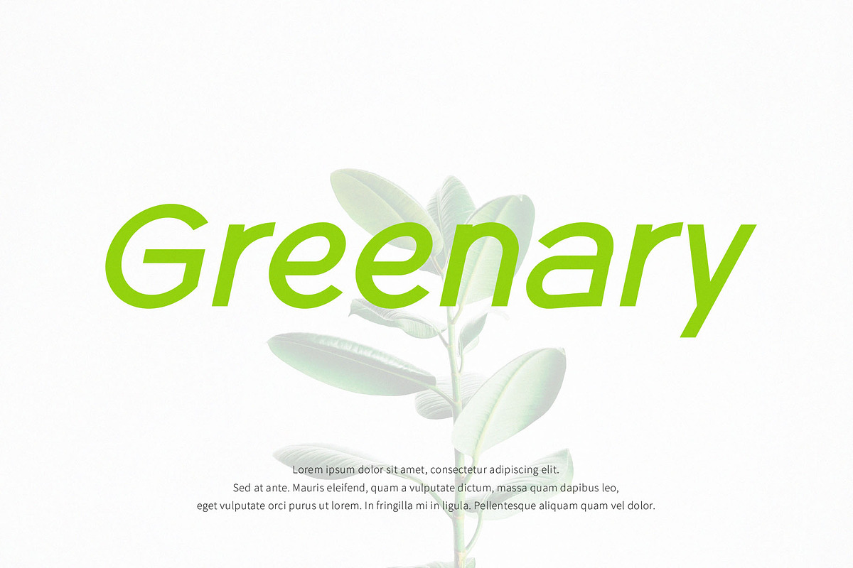 RADEON, a Sans Serif Font by ToniStudio (Photo 8 of 12)