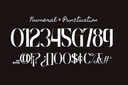 Roave - Modern Elegant Serif Font, a Serif Font by Illushvara Design (Thumbnail 10 of 11)