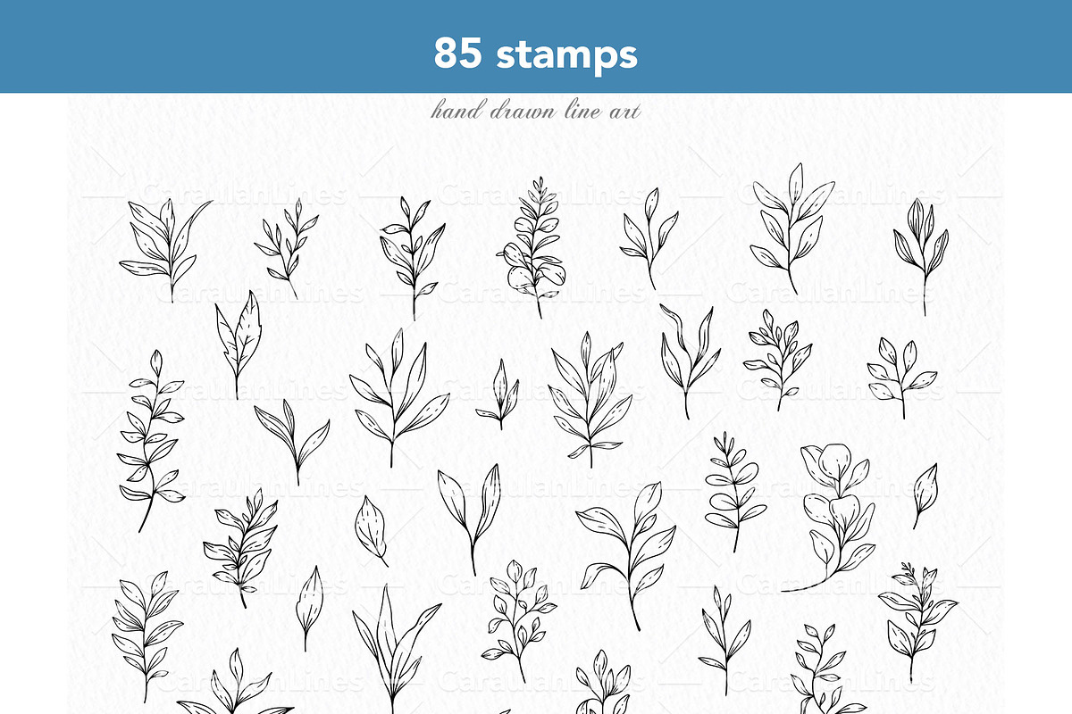 Greenery Procreate Stamps, a Brush Add-On by CaraulanStore (Photo 3 of 8)
