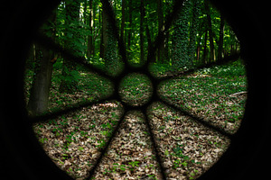 Forest scene viewed through circular patterned architectural window frame, a Photo by AS photostudio