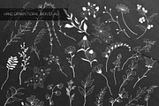Hand Painted Floral Collection, an Animal Illustration by JSolomatina (Thumbnail 17 of 26)