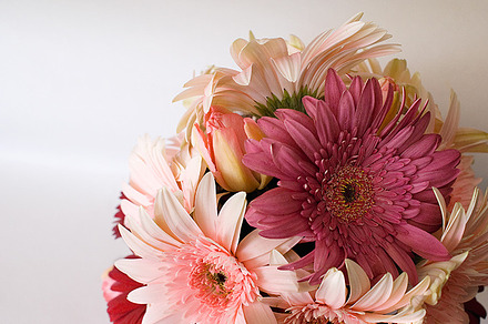 Gerbera bouquet containing flowers, floral, and florist