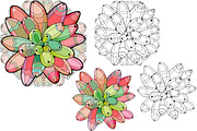 Succulents for coloring pages, a Decorative Illustration by Watercolor fantasy (Thumbnail 8 of 13)