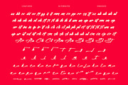 Hunter Anthila Bold Brush Font, a Script Font by stylishtype.co (Thumbnail 16 of 20)
