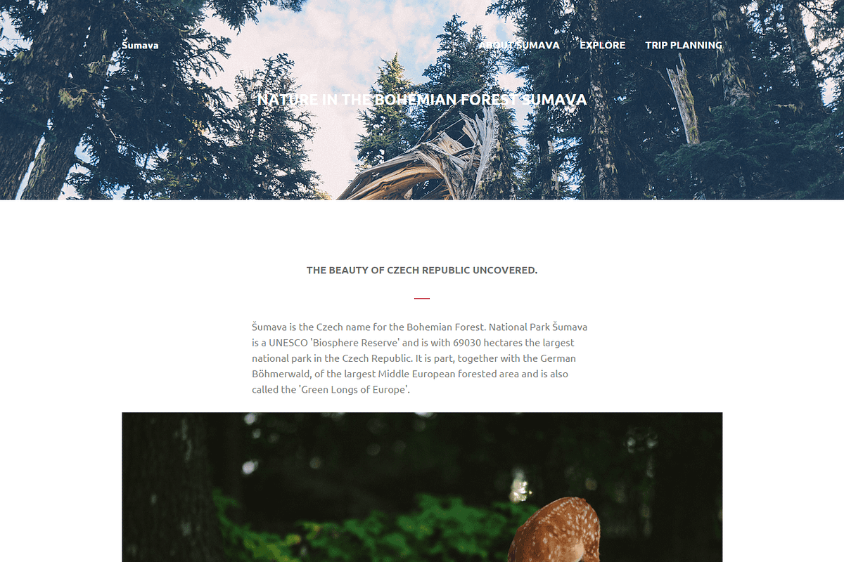 Sumava: Minimalist Website Template, a HTML Template by Devero (Photo 2 of 6)