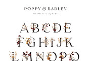 POPPY & BARLEY Autumn Wildflowers, a Seasonal Illustration by Muse Artist (Thumbnail 5 of 14)