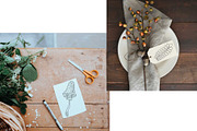 Mushroom Harvest Autumn Doodle Set, a Seasonal Illustration by Contes_de_fée (Thumbnail 7 of 9)