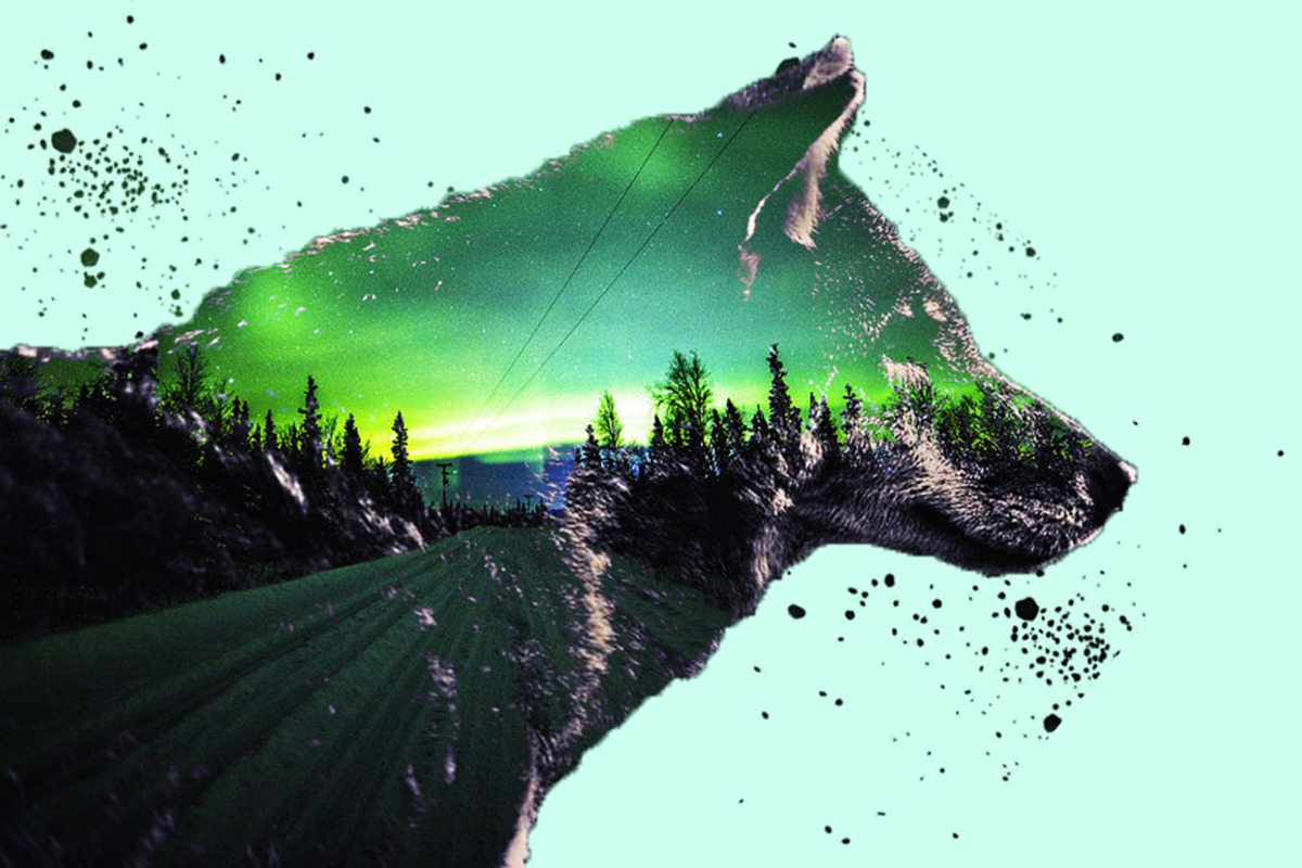 Double Exposure Photoshop Action, an Action Add-On by DESIGNAVO (Photo 7 of 9)