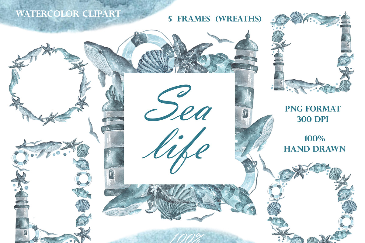 Sea life watercolor set. Nautical., an Illustration by SabinaWatercolorArt (Photo 4 of 13)