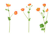 Vector object brushes. Geum., a Brush Add-On by Peolla (Thumbnail 9 of 14)