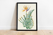 Watercolor Tropical Leaves & Flowers, an Illustration by babenkoirusa (Thumbnail 13 of 17)