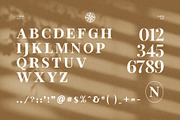 North Elegant Serif Font, a Serif Font by Perfectype (Thumbnail 10 of 10)