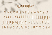 Vicky Christina Ligature Serif Font, a Serif Font by SilverStag Type Foundry (Thumbnail 23 of 25)