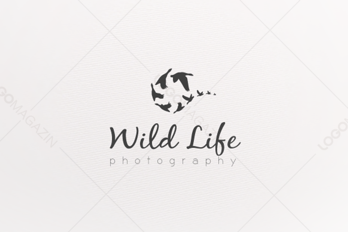 Photography WildLife  Logo, a Branding & Logo Template by LogoBuy (Photo 1 of 5)