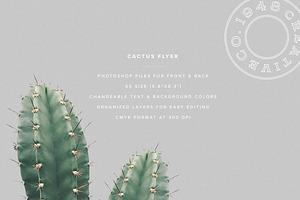 Cactus Flyer