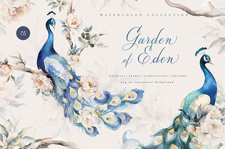 Watercolor vintage birds peacock