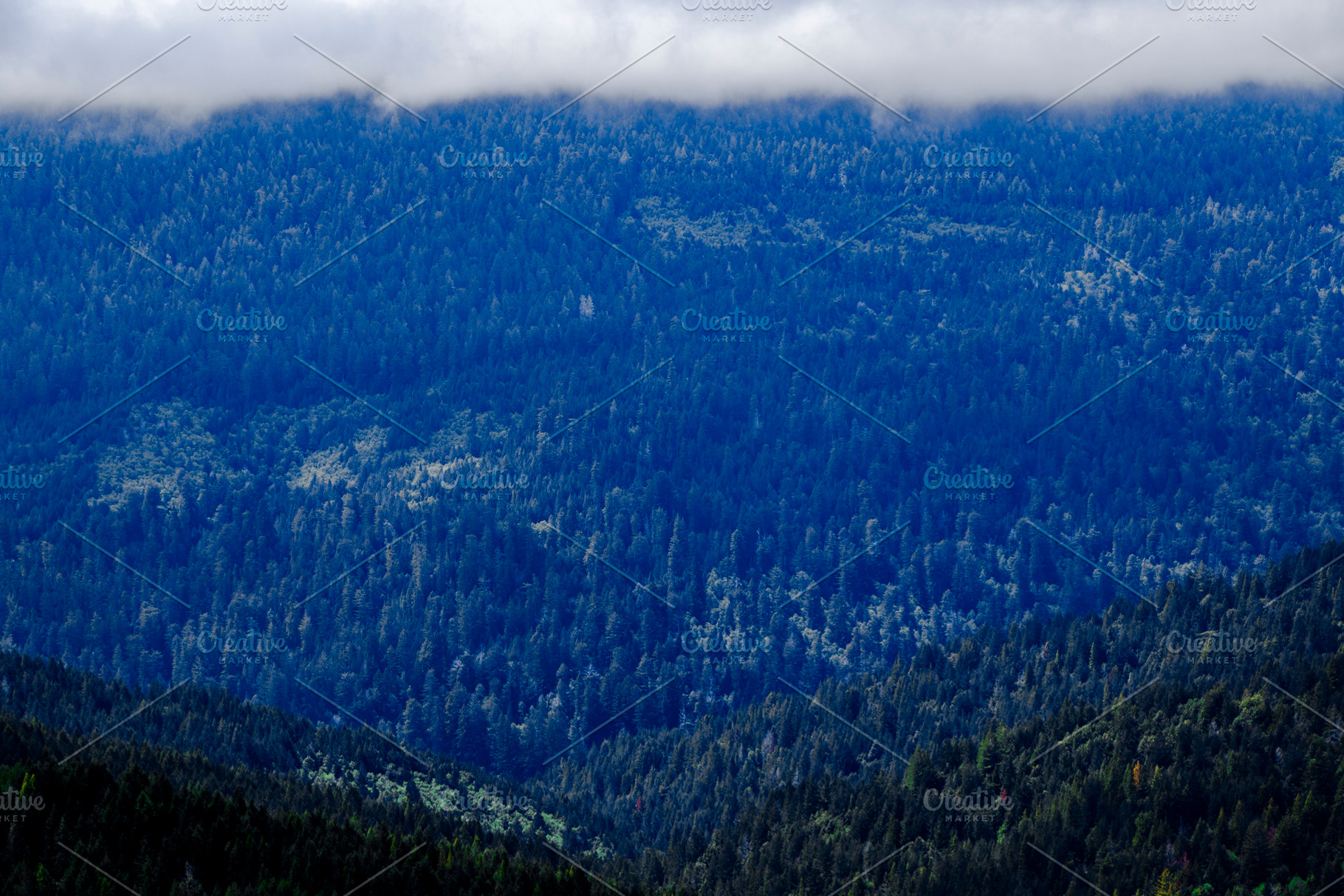 Mist Rolling Over Bald Hills, a Nature Photo by Jillian Butolph