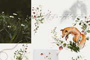 Woodland baby animals 2 Field flower, an Animal Illustration by 60secondsArt (Thumbnail 6 of 16)