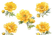 Watercolor Yellow Flower Clipart, an Object Illustration by Design Scotch (Thumbnail 4 of 7)