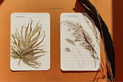 DELICATE AFRICA Watercolor, an Object Graphic by Cat In Colour (Thumbnail 6 of 12)