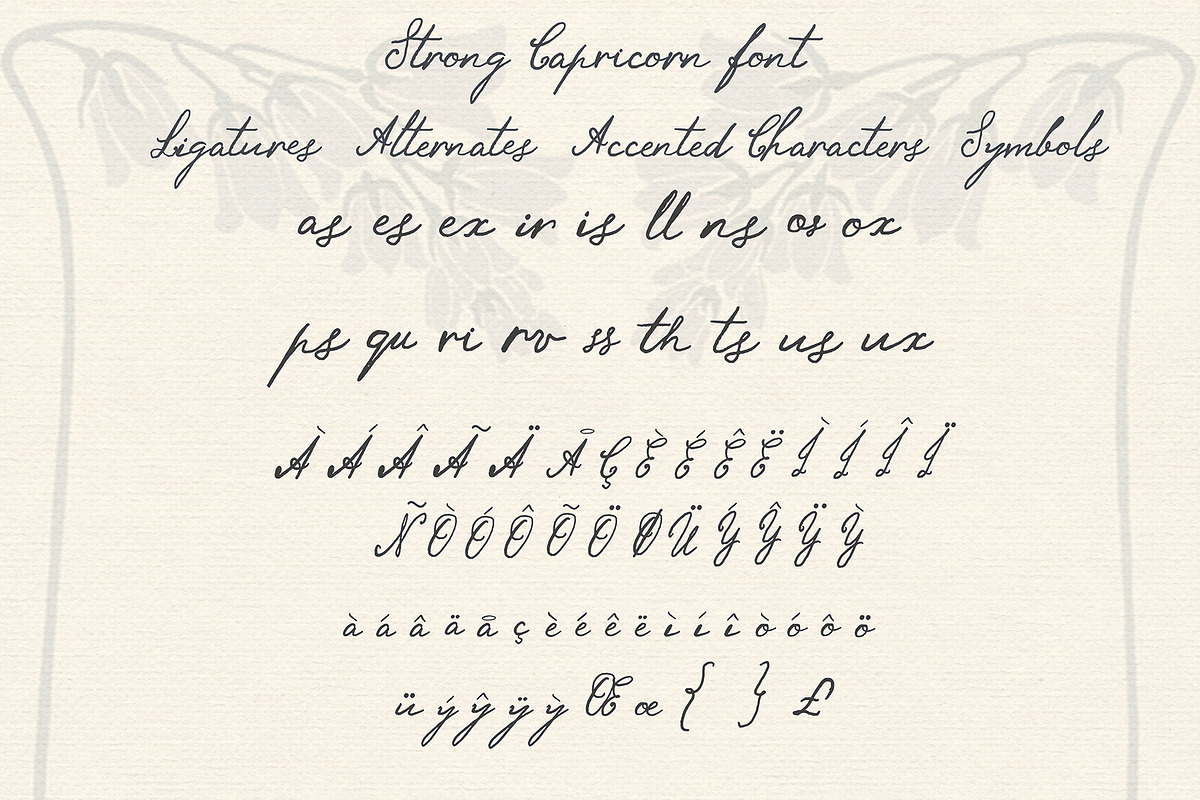 Strong Capricorn Vintage Script Font, a Script Font by LABFcreations (Photo 10 of 15)
