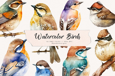 Watercolor Birds I, an Animal Illustration by PeDe Designs