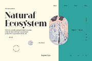 Bagoni Type, a Serif Font by Attract Studio (Thumbnail 13 of 19)