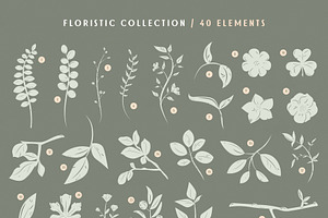 Birds & Blooms Graphics Toolkit