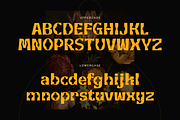 Elanor Retro Display, a Serif Font by Creatype Studio (Thumbnail 10 of 10)