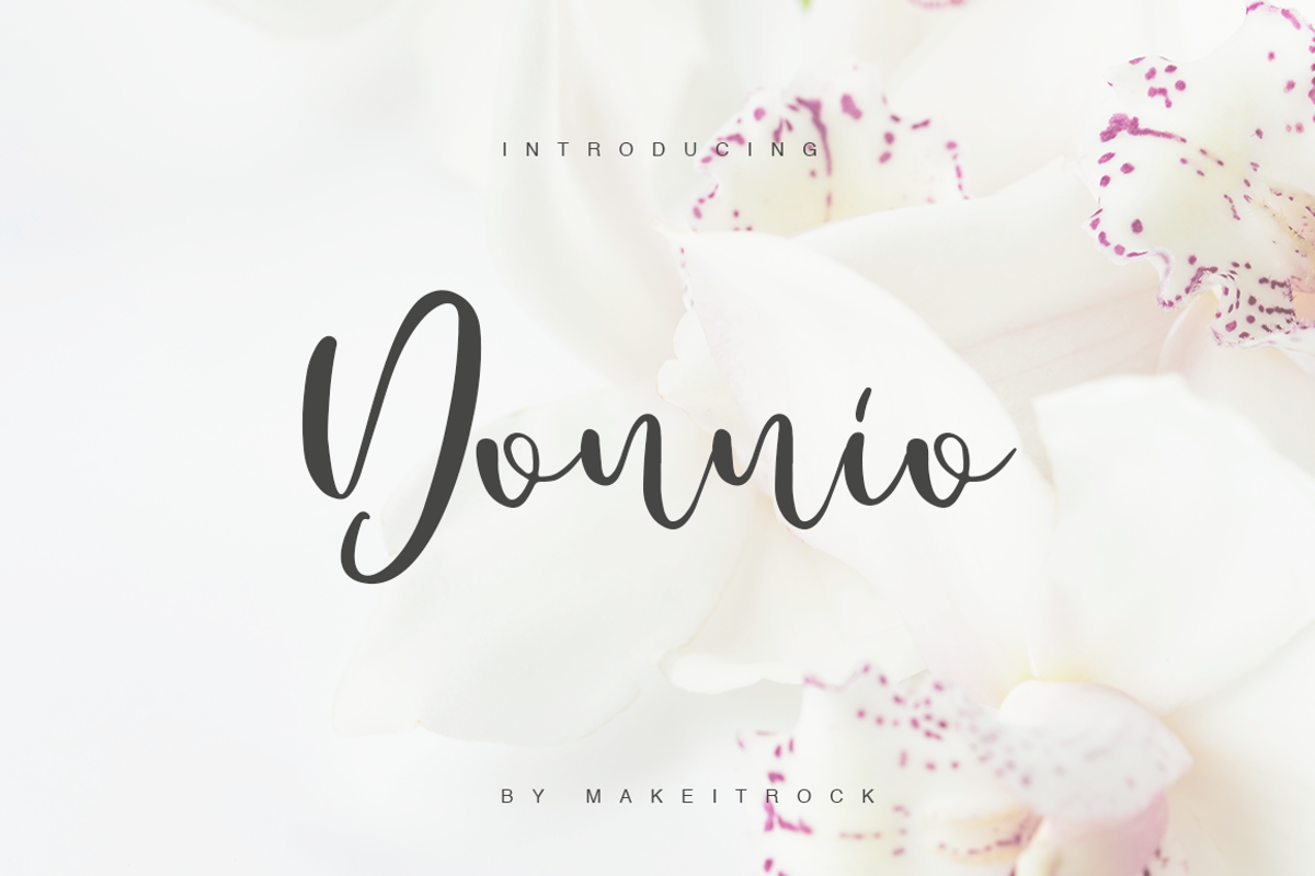 Donnio | Sale 90%OFF