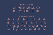 Niasec Lux Elegant Display Font, a Sans Serif Font by Casloop Studio (Thumbnail 8 of 15)
