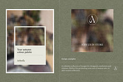 Botanical Still Life Photography, a Background Graphic by bron.alexander (Thumbnail 4 of 10)