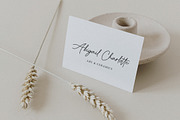 Better Grade Modern Signature Font, a Script Font by Heinzel Std (Thumbnail 19 of 24)