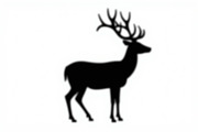 Deer Silhouette Bundle, an Illustration by Designer_Momina (Thumbnail 2 of 7)