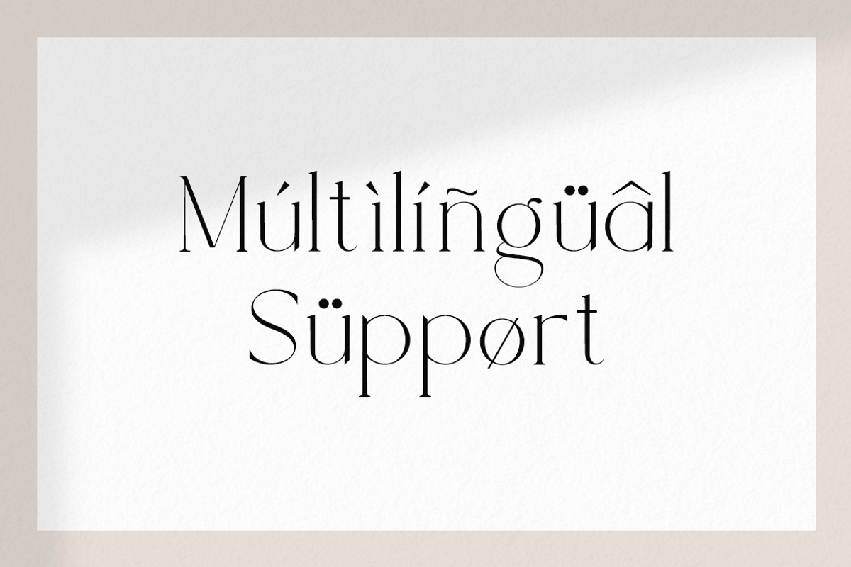 Rotweiler - Fashion Font, a Serif Font by RockboyStd (Photo 10 of 12)