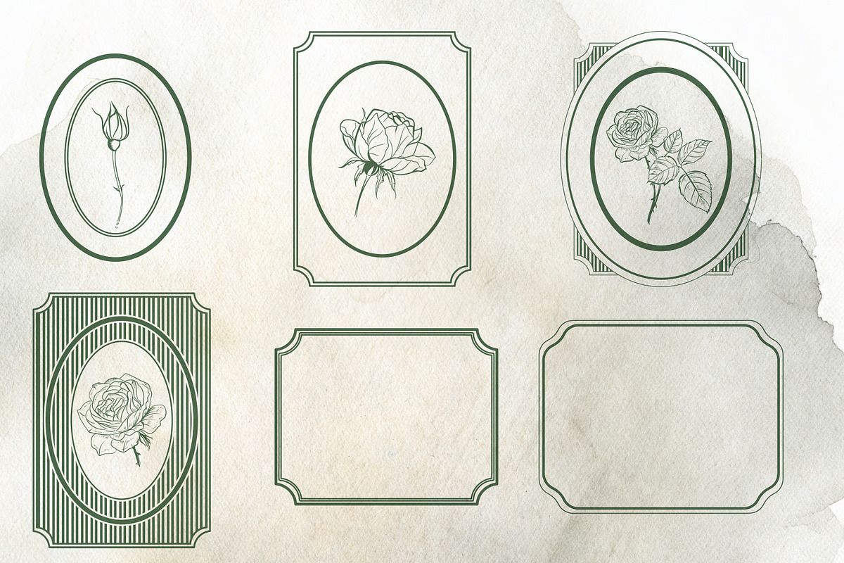 Bundle of vector vintage flourishes, an Object Graphic by FleurArt (Photo 8 of 19)