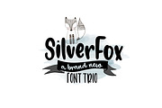 SilverFox Font TRIO, a Script Font by OnTheSpotStudio (Thumbnail 1 of 3)