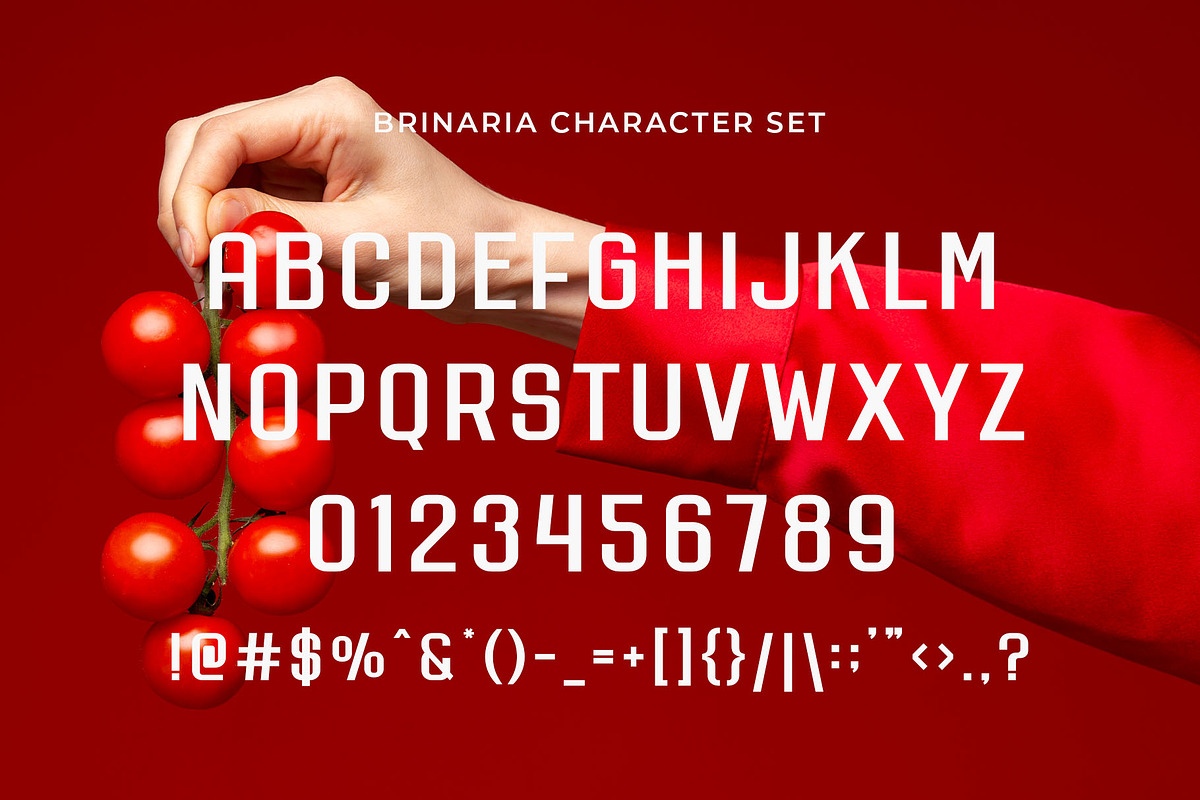 Brinaria - Modern Sans Serif, a Sans Serif Font by Typeformers (Photo 4 of 5)