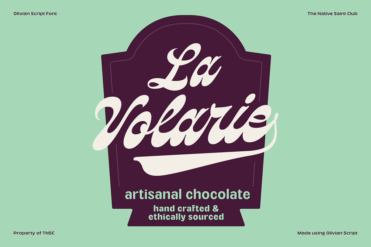TNSC Olivian - Vintage Bold Script, a Script Font by The Native Saint Club (Photo 7 of 15)