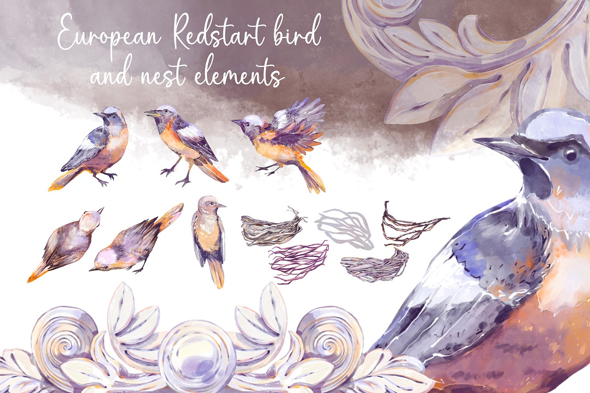 Antique Aesthetic Garden Watercolor, a Decorative Illustration by Shabbypie (Photo 9 of 15)